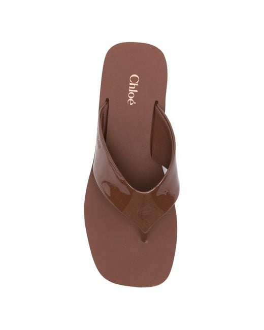 Chloé Brown Chloé Swimming Cool Wedge Heeled Sandals
