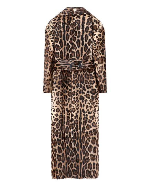 Dolce & Gabbana Brown Leopard Printed Coat