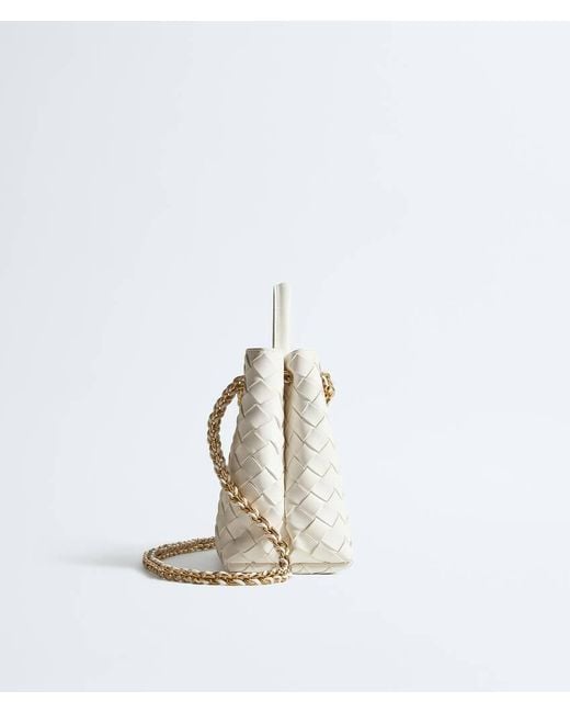 Bottega Veneta Gray Small Andiamo Chain