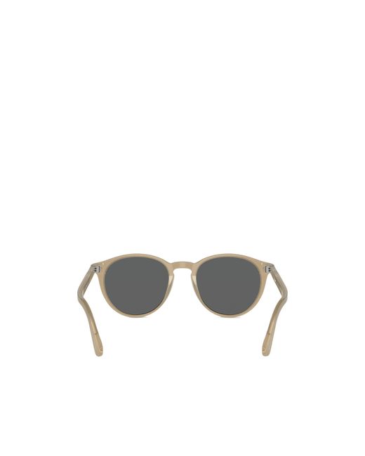 Persol Multicolor Round Frame Sunglasses for men