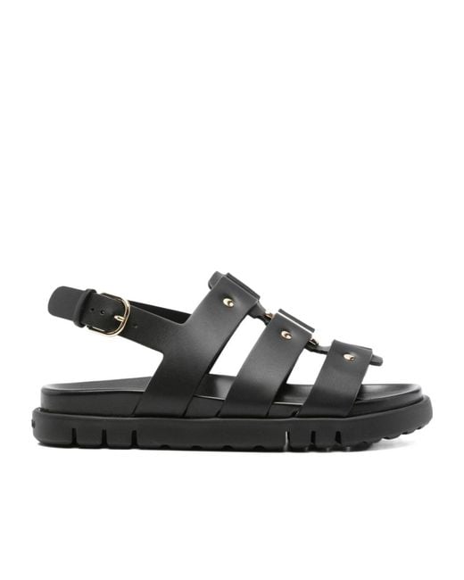 Ferragamo Black Flat Shoes