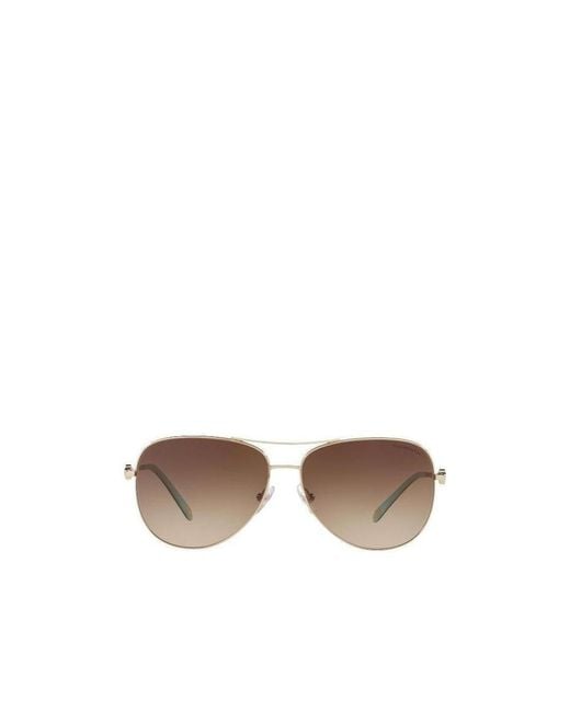 Tiffany & Co Brown Logo Sunglasses
