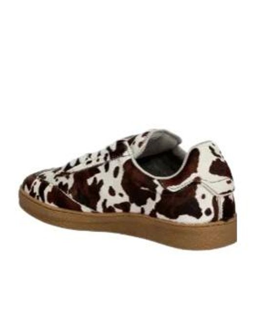 AllSaints Brown Thelma Sneakers