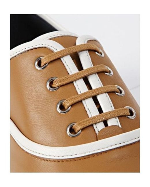 Céline Multicolor Lace-Up Sneakers