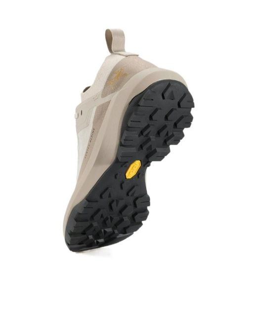 Arc'teryx Gray Vertex Alpine Gtx Shoe