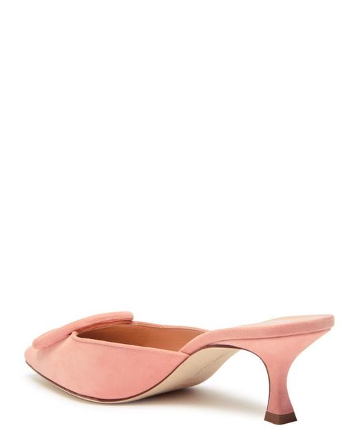 Manolo Blahnik Pink Maysale 50 Suede Mules