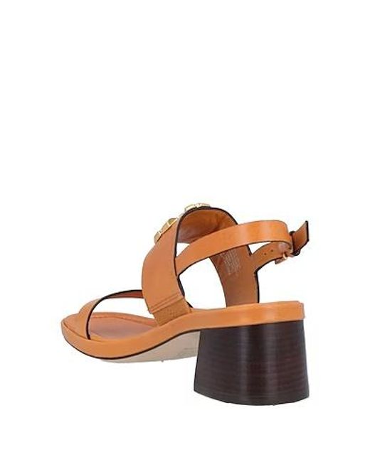 Tory Burch Brown Open-Toe Sandals