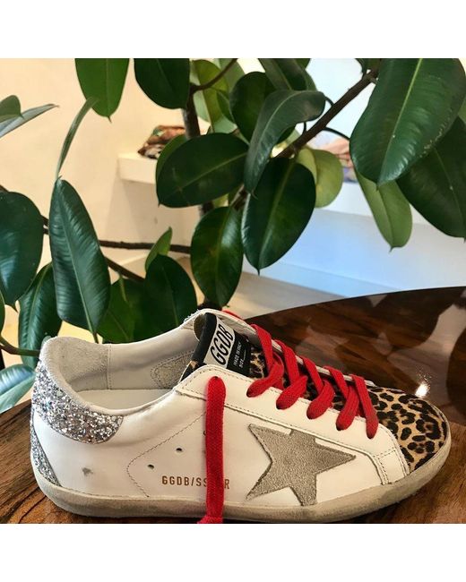 Golden Goose Deluxe Brand Multicolor Superstar Leopard-Print Sneakers