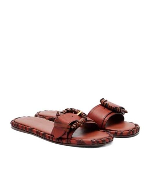 Zimmermann Brown Versatile Soft Sandals