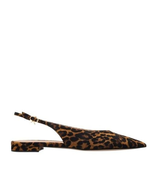 Gianvito Rossi Brown Leopard Printed Pointed Toe Flat Shoes