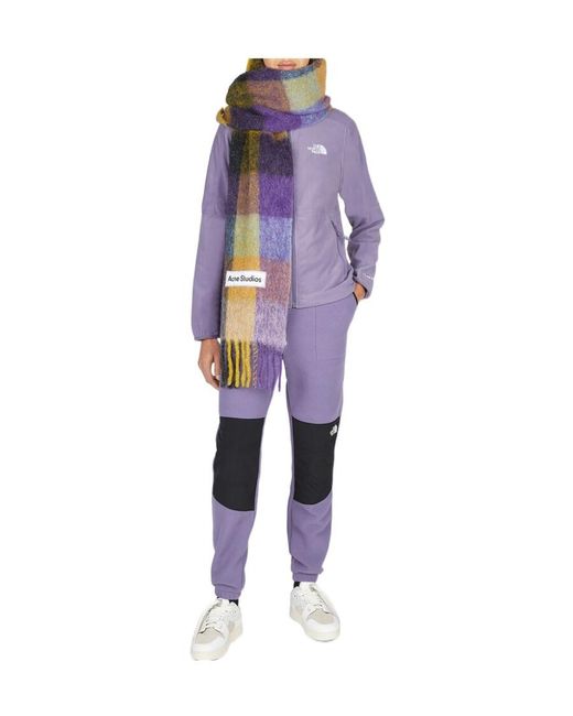 The North Face Purple Denali Color-Block Track Pants