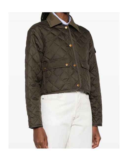 Moncler Brown Long Sleeve Jacket