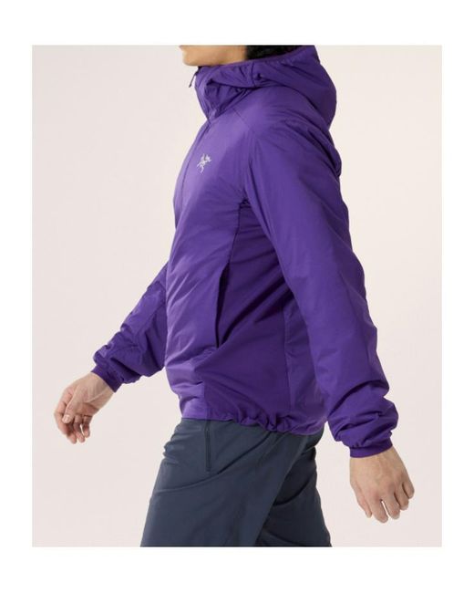 Arc'teryx Purple Atom Hooded Jacket for men
