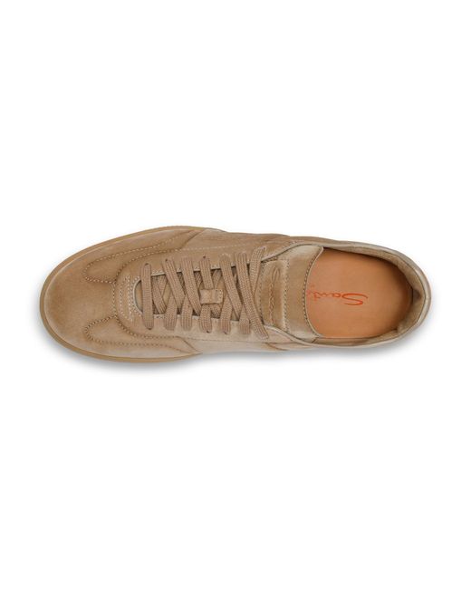 Santoni Brown Dbs Oly Sneakers for men
