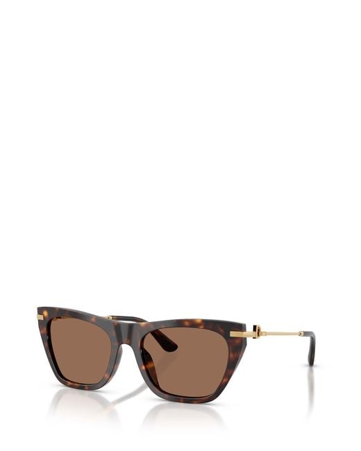 Dolce & Gabbana Multicolor Eyewear Cat Eye Frame Sunglasses