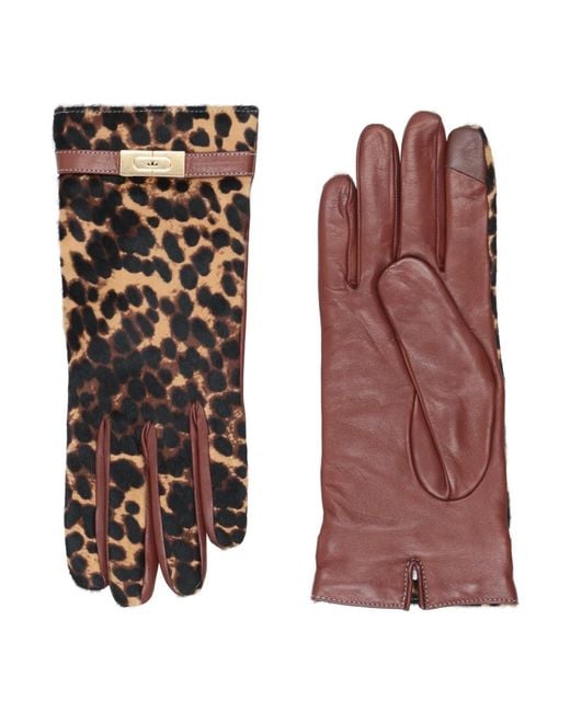 Tory Burch Brown Gloves