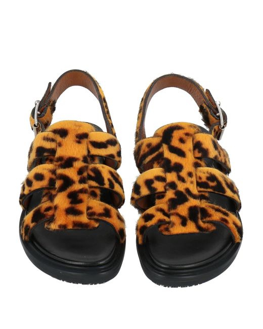 Marni Brown Leopard Print Casual Sandals