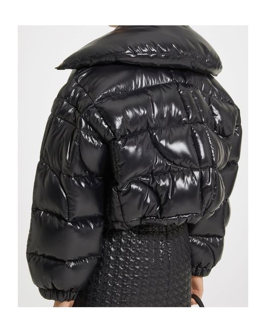 Patou Black Zip-Up Cropped Puffer Jacket