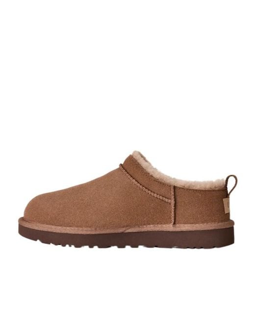 Ugg Brown Classic Micro Boots