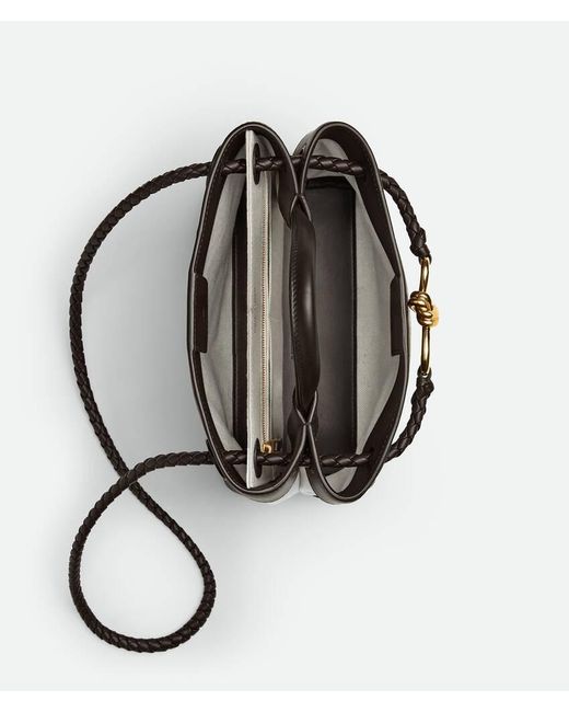 Bottega Veneta Metallic Small Andiamo