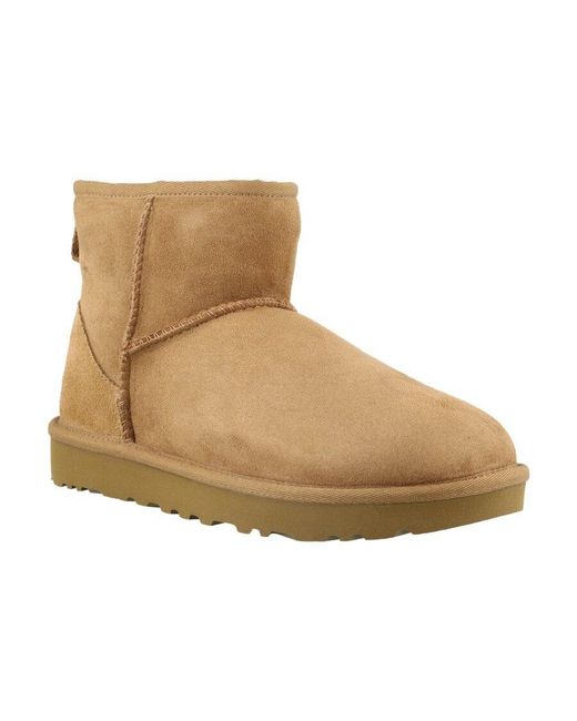 Ugg Brown Classic Mini Ii Boots