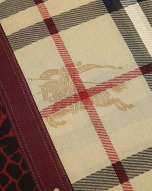 Burberry Brown Striped Scarf