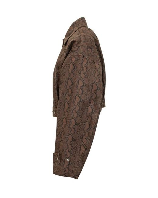 MSGM Brown Cropped Belted Patterned Jacket