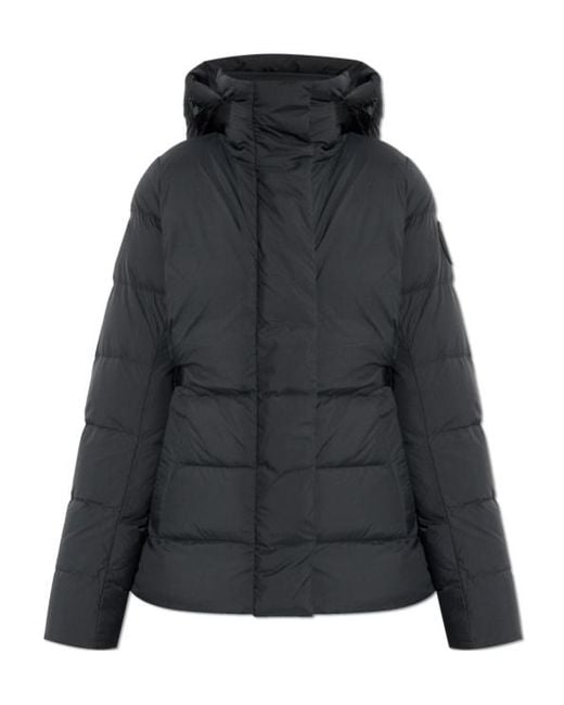 Canada Goose Black Hooded Quilted Puffer Jacket