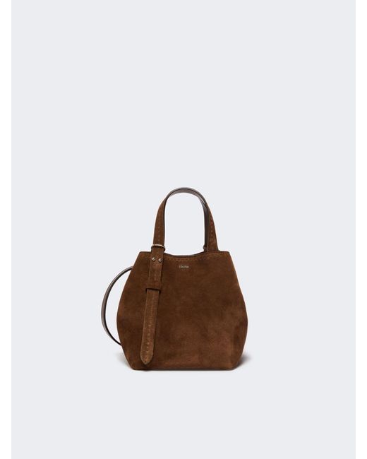Max Mara Brown Extra-Small Split Leather Archetipo Bag