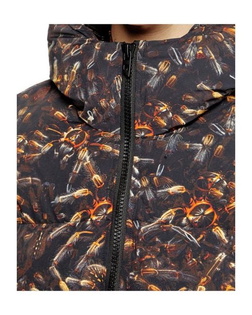DIESEL Brown W-Spider Hooded Puffer Jacket for men