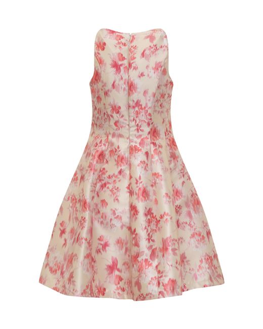Philosophy Di Lorenzo Serafini Pink Floral-Print Flared Minidress