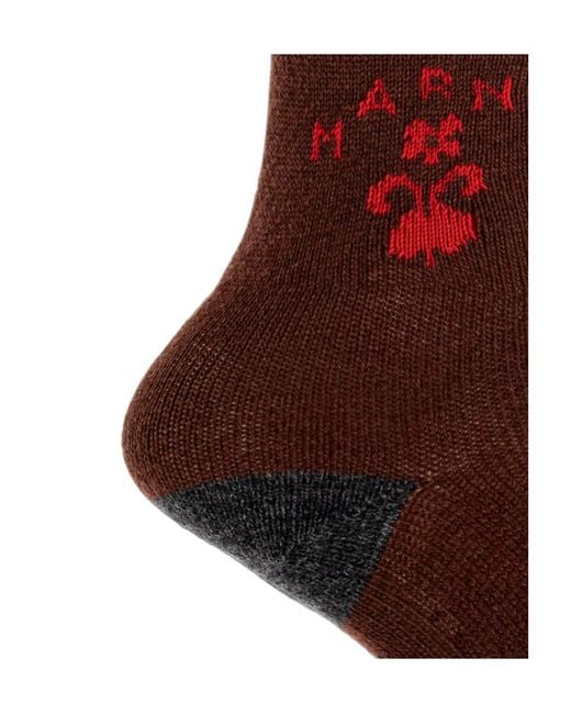 Marni Brown Herald Logo Socks