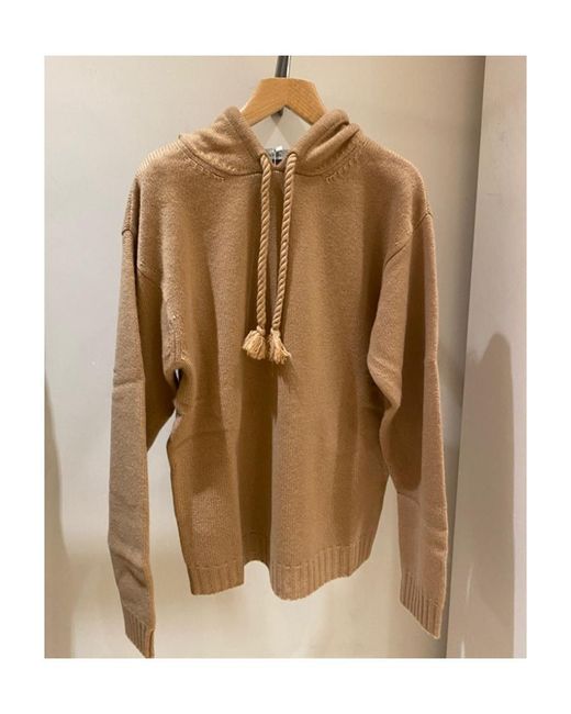 Max Mara Natural Hooded Sweater