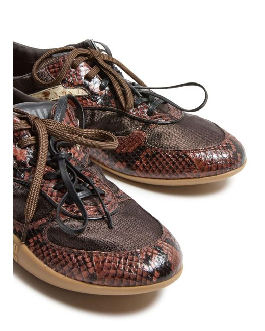 Miu Miu Brown Gymnasium Sneakers