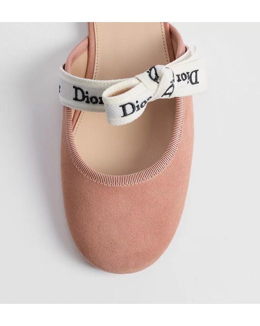 Dior Multicolor J'A Mules