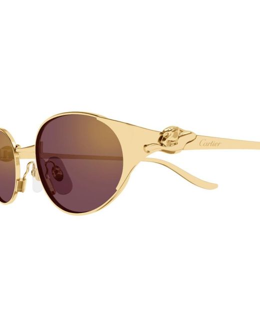 Cartier Multicolor Oval-Frame Sunglasses