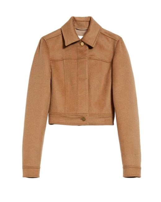 Max Mara Brown Cropped Fitted Jacket