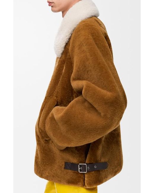 Loewe Brown Jacket for men