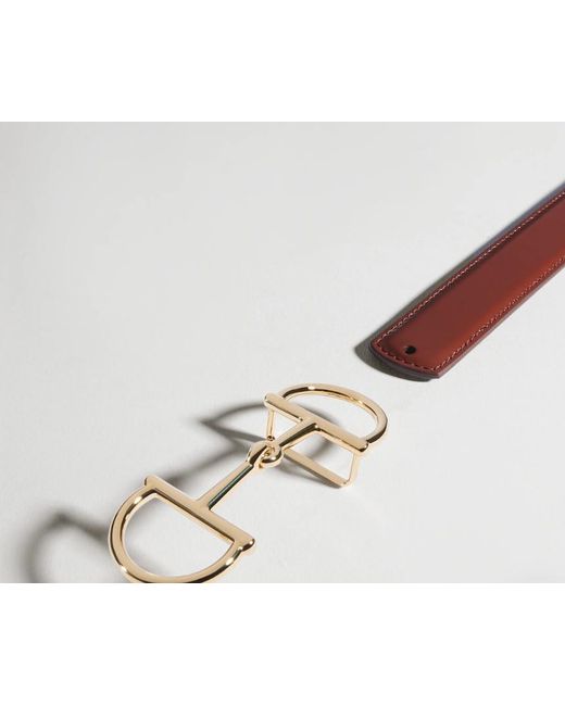 Gucci Multicolor Reversible Belt With Horsebit Buckle