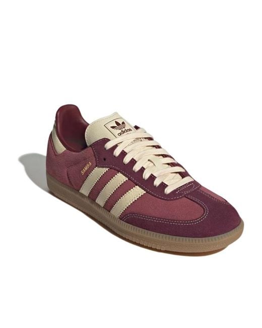 Adidas Originals Brown Samba Leather Sneakers for men