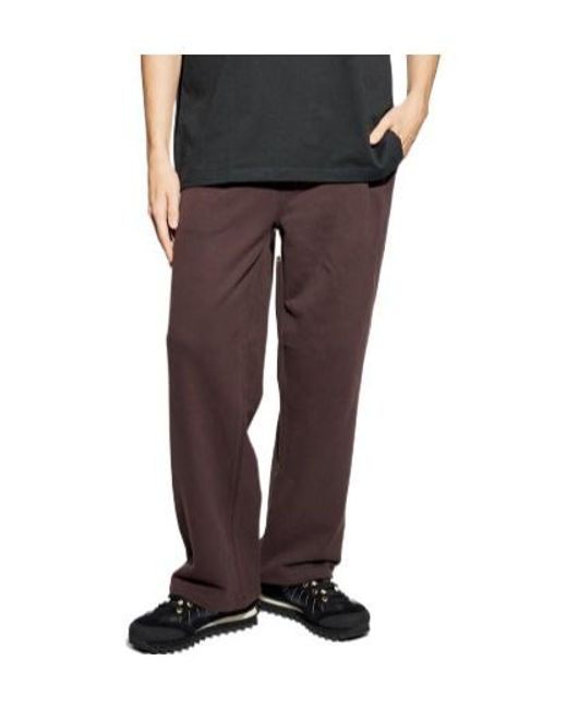 AllSaints Brown Asher Sweatpants