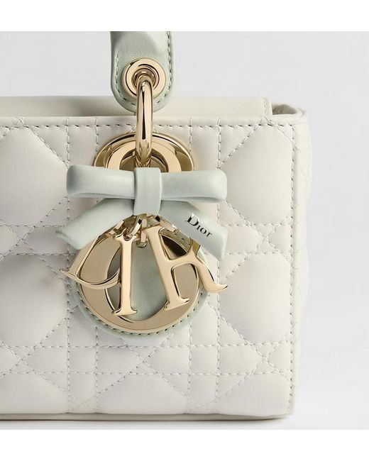 Dior Multicolor Mini Lady D-Joy Bag