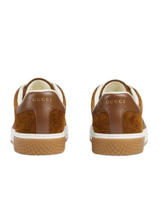 Gucci Brown Ace Sneaker With Web, Suede for men