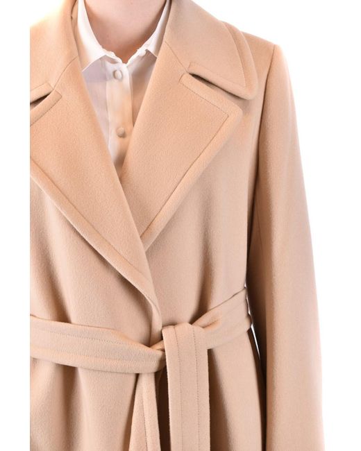 Tagliatore Natural Girdle Lapel Coat