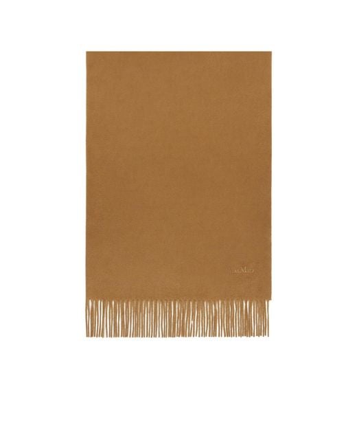 Max Mara Brown Cashmere Stole With Embroidery And Fringing