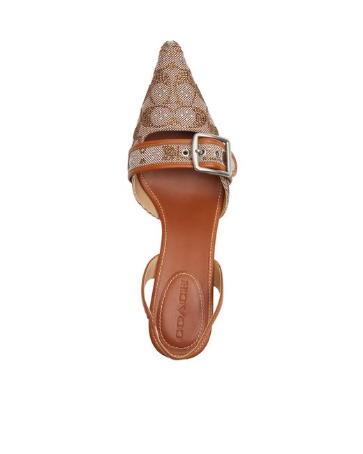 COACH Brown Color Block Slingbacks