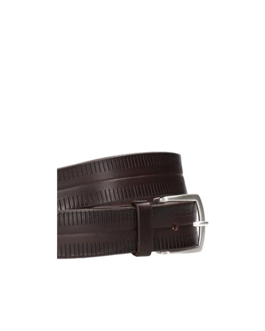 Orciani Brown Bull Soft Belt for men