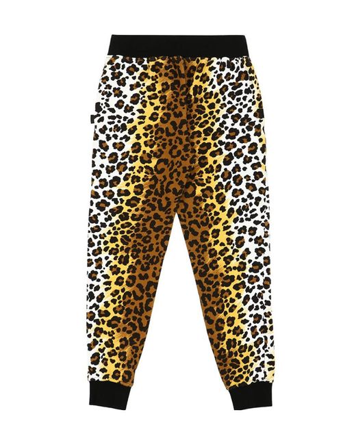 Moschino Multicolor Leopard Pattern Sweatpants