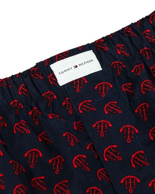 Tommy Hilfiger Blue Checkered Shorts for men