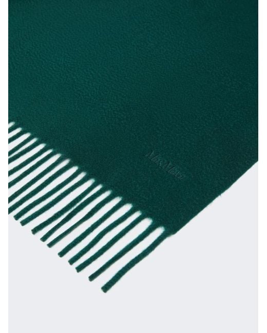 Max Mara Green Cashmere Stole With Embroidery And Fringing